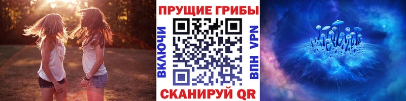 закладка  Алушта  Галлюциногенные грибы GOLDEN TEACHER 