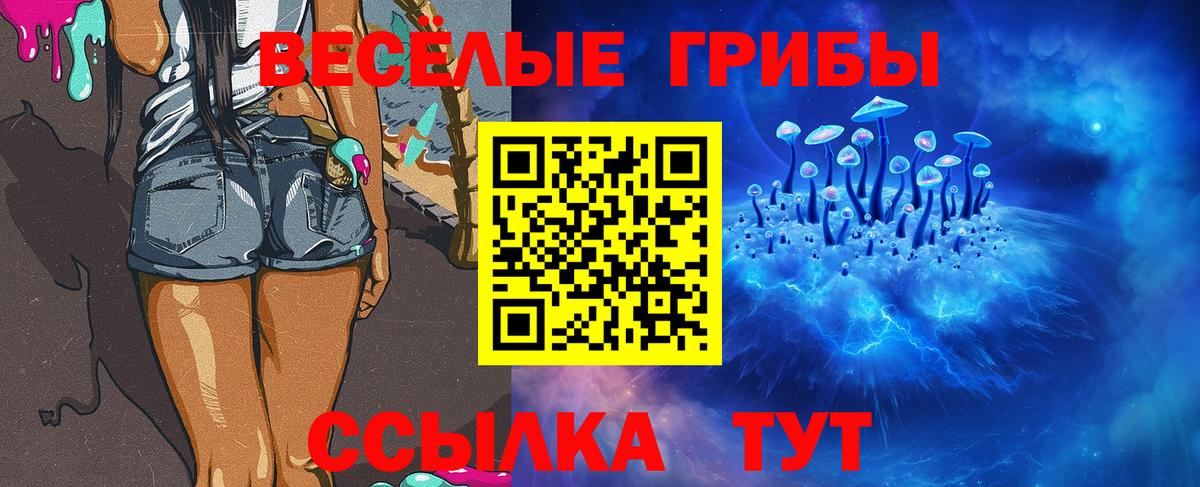 Псилоцибиновые грибы мицелий Алушта