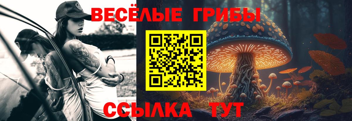 Галлюциногенные грибы GOLDEN TEACHER  Галлюциногенные грибы Psilocybine cubensis  Алушта  купить наркотик  Вход с VPN 